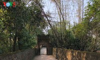 Bo Da Pagoda - special national relic site