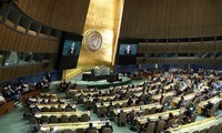 Vietnam participates in UN General Assembly meetings