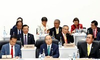 Deputy FM: Vietnam contributes to addressing urgent global issues