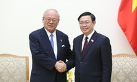Vietnam treasures extensive strategic partnership with Japan: Deputy PM