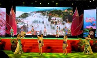 Fifth Vietnam-Japan cultural exchange festival ends