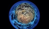 Ngày Đại dương thế giới 2021 – “Đại dương: Sự sống và sinh kế”
