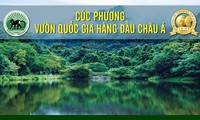 Cúc Phương – “Vườn Quốc gia Hàng đầu châu Á 2021”