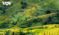 Việt Nam: Du lịch xanh - phát triển du lịch bền vững