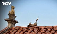 Nghệ nhân chế tác độc bản mèo chào Xuân Quý Mão duy nhất ở xứ Đoài