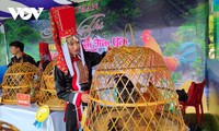 Lần đầu tiên tổ chức Hoa hậu gà Tiên Yên