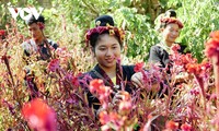 Nỗ lực bảo tồn văn hoá đặc sắc của người Cống ở Điện Biên