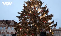 Không khí đón lễ Giáng sinh tại Cộng hòa Séc