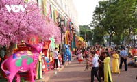 Người dân TP. Hồ Chí Minh diện áo dài, nô nức xuống phố chụp ảnh Tết