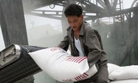 The US may consider resuming food aid to North Korea