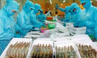 US imposes anti-subsidy tariff on Vietnamese frozen shrimp