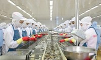 Exporters reject US anti-subsidy duties on shrimp
