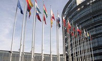 21 countries unanimously vote in European parliamentary elections 