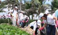 Da Nang City responds to Vietnam’s Sea and Islands Week 