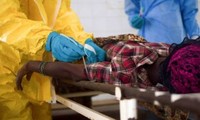 WHO allows use of unproven ZMapp on Ebola patients