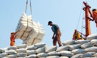 Raising the value of Vietnam’s export rice