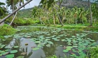 Con Dao National Park becomes Vietnam’s sixth Ramsar site
