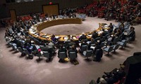 UNSC rejects resolution on Palestinian state