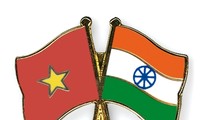 Vietnam, India hold 7th political consultation 