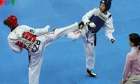 Taekwondo and swimming win gold medals at SEA Games 