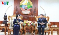 Vietnam and Laos treasure bilateral relations 