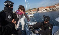 EU proposes establishing borders and coastguard agency