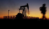Oil price likely to recover by mid 2017
