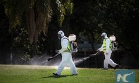 World Bank pledges 150 million USD for fight against Zika