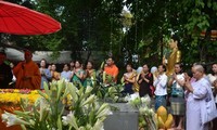 Vietnamese community in India, Laos celebrate Vesak 2016