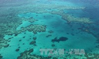 China destroys reefs to build artificial islands in the East Sea