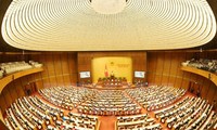 National Assembly deputies hopeful of government’s realization of goals