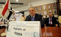 Yemeni government demands new peace plan