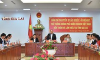 Gia Lai urged to adopt more socio-economic development incentives 