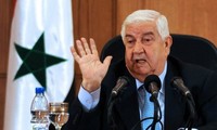Syria rejects international forces in safe zones