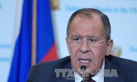 Russia, US share common view on resolving Syrian crisis
