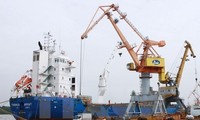 Vietnam’s exports to Algeria grow 17 percent 