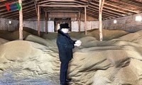 Vietnamese farm owner shines in Russian region