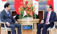 President: Vietnam–Japan ties at their best