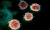 New coronavirus variant spreads worldwide