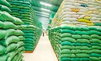130,000 tons of rice allocated to pandemic-hit localities