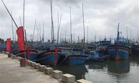 Vietnam to have 184 fishing ports by 2050