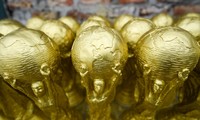 A look at the Vietnamese World Cup trophies