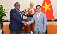 Haiti wants strengthened ties with Vietnam: Deputy FM 