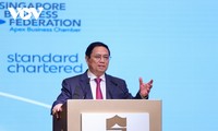 Prime Minister attends Vietnam-Singapore business forum