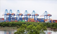 Cai Mep Ha Port to be upgraded to accommodate world’s large cargo ships