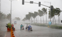 Vietnam forecast to be impacted by 4-6 storms until October 