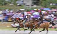 Lào Cai tổ chức Giải đua ngựa truyền thống Bắc Hà