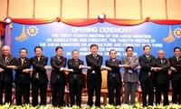 ASEAN+3 tăng cường bảo đảm an ninh lương thực 