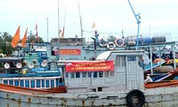 Quảng  Ngãi hỗ trợ các Hợp tác xã dịch vụ và khai thác hải sản xa bờ