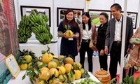 “Hội hoa-chợ Tết tôn vinh làng nghề và hàng nông sản chất lượng cao”
